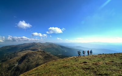 a group of people in a field with a mountain in the background